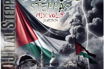 Dubwise Steppas Mix Vol 9 by DJ Ital Steppa